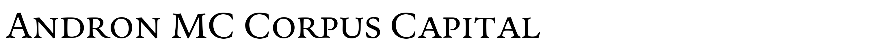 Andron MC Corpus Capital